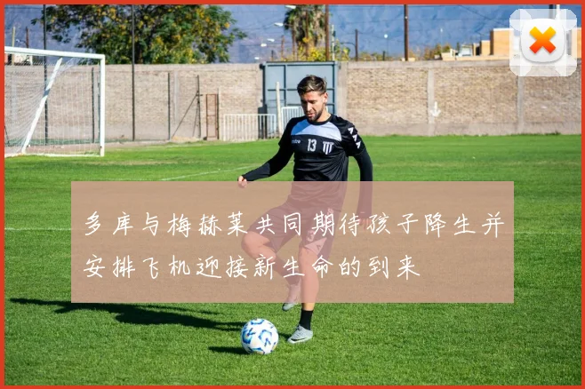 多库与梅赫莱共同期待孩子降生并安排飞机迎接新生命的到来