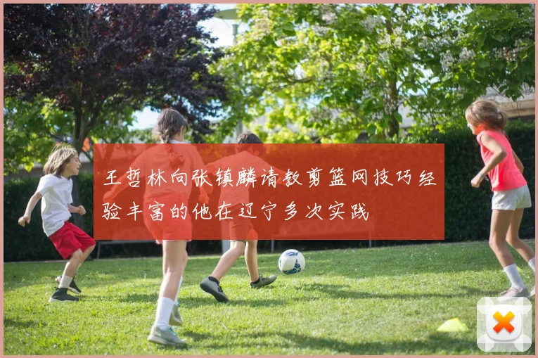 王哲林向张镇麟请教剪篮网技巧经验丰富的他在辽宁多次实践